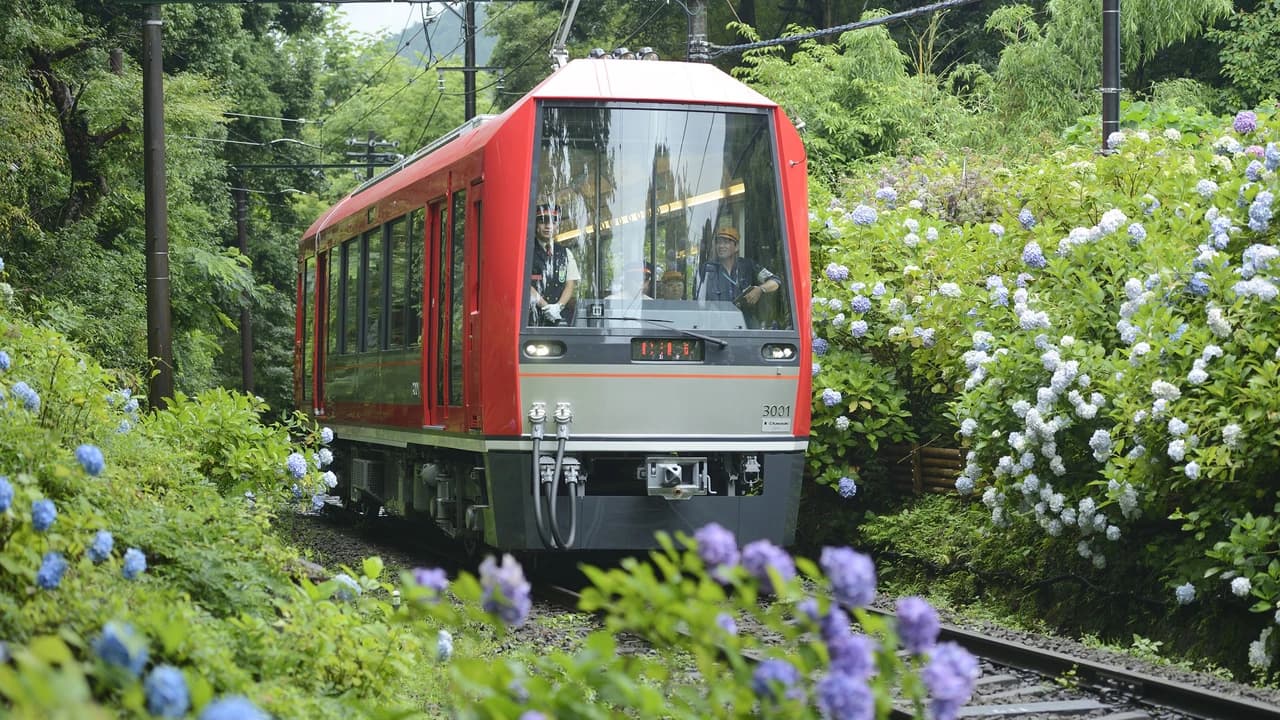 Fuji Hakone Pass - Photo 2