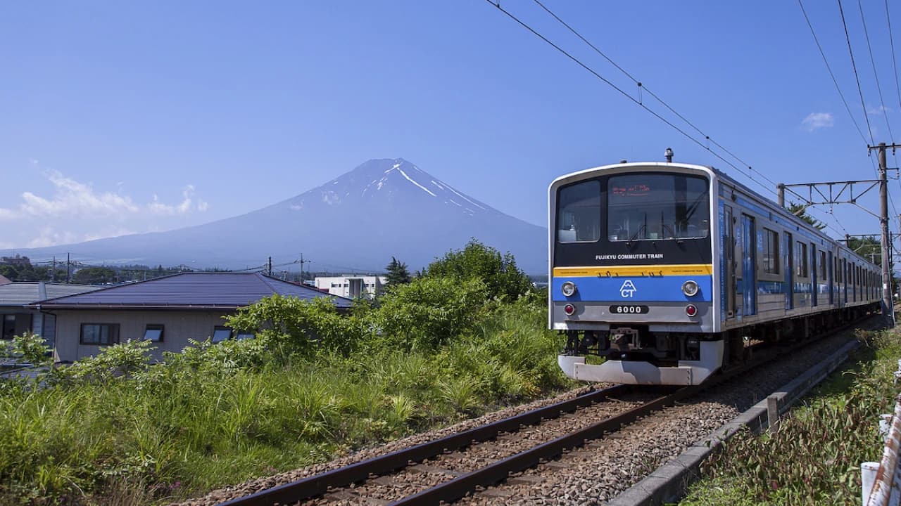 Fuji Hakone Pass - image 7