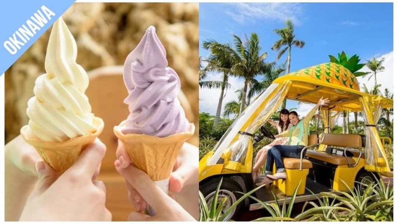 Have Fun in Okinawa Pass - 1 Week Free Pass - Photo 3