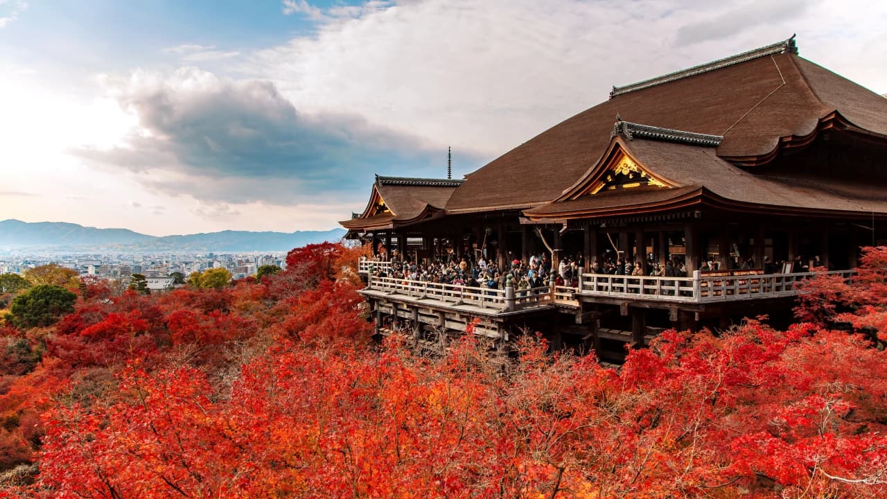 Kyoto and Nara Full-Day Tour from Osaka: Kiyomizudera Area, Fushimi Inari Taisha, Nara Park