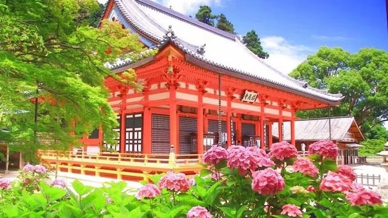 Katsuo-ji Temple Ticket