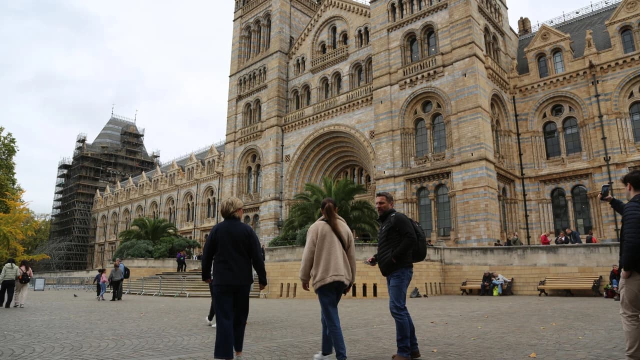 Natural History Museum Tour with English-Speaking Guide - Photo 5