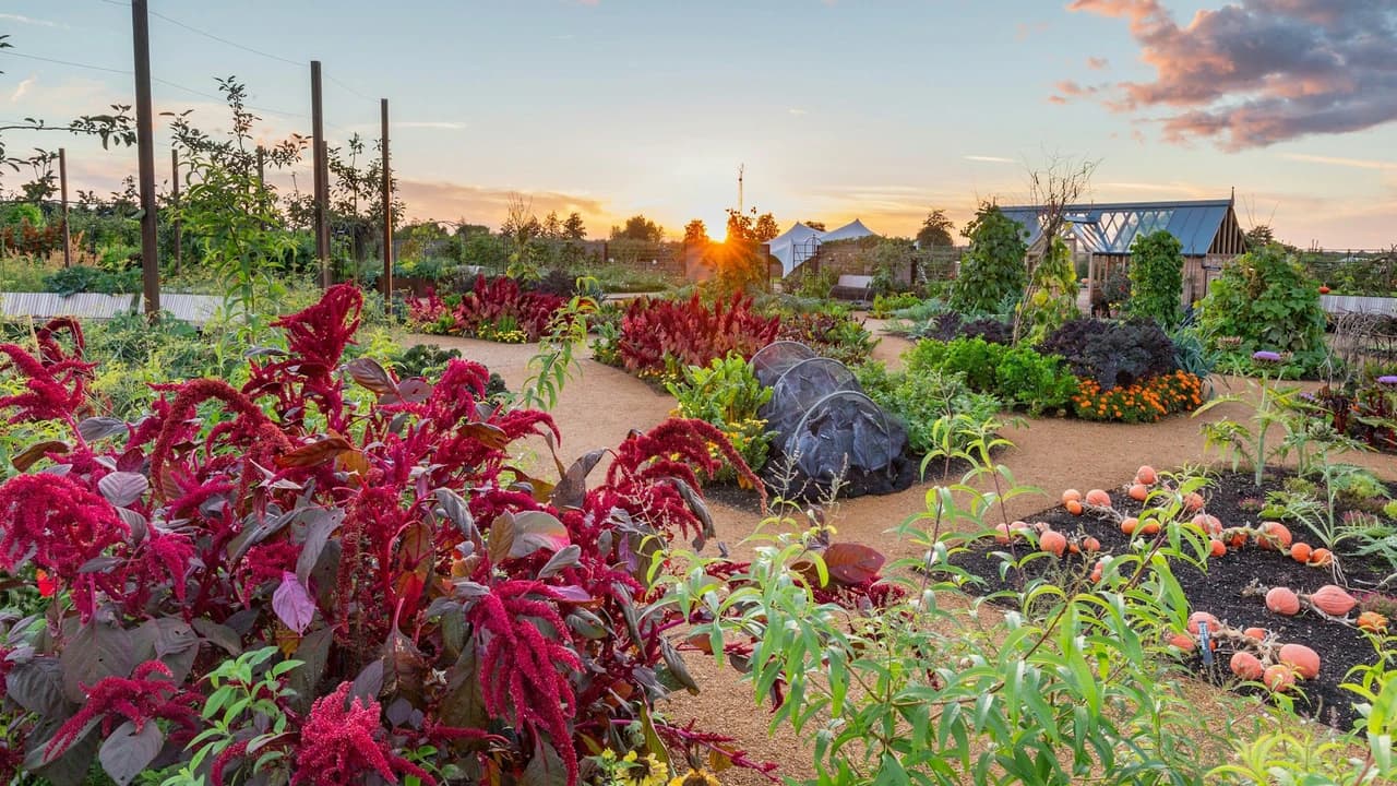 RHS Garden Wisley Ticket - Photo 4