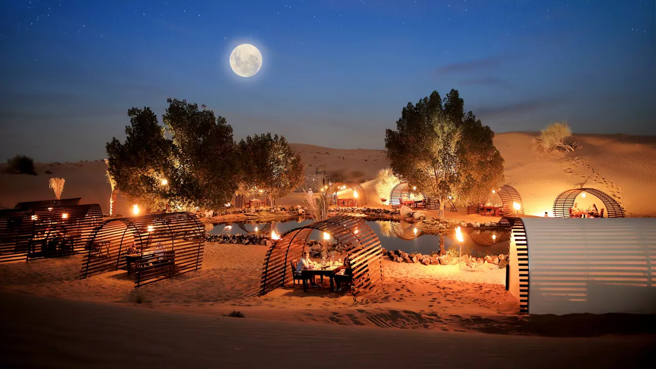 Private Night Safari and Astronomy