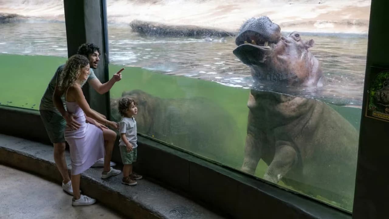 San Antonio Zoo Ticket