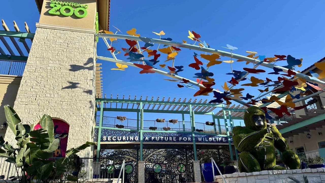 San Antonio Zoo Ticket - Photo 5