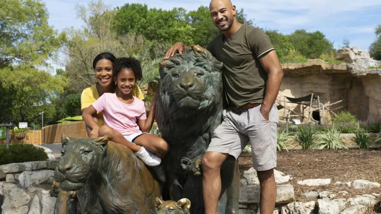 San Antonio Zoo Ticket - image 6