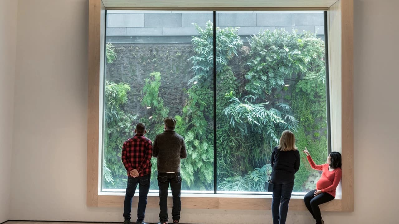 San Francisco Museum of Modern Art (SFMOMA) - image 7