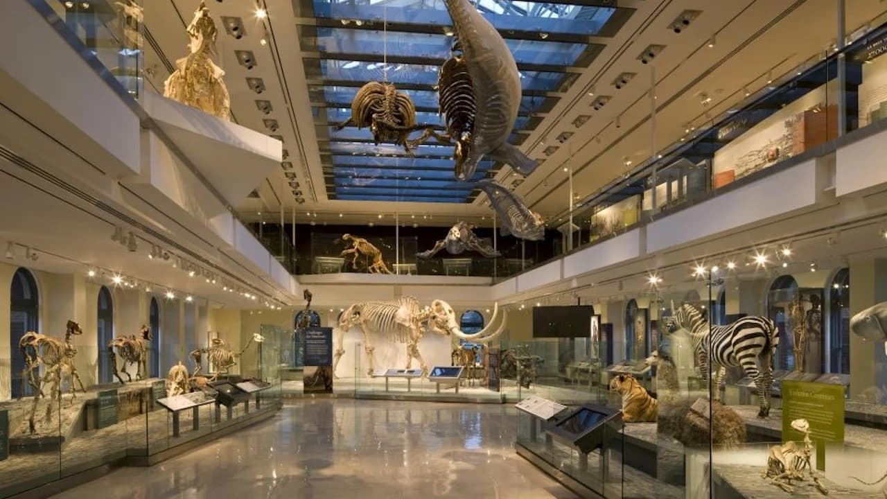 Natural History Museum of Los Angeles County - image 8