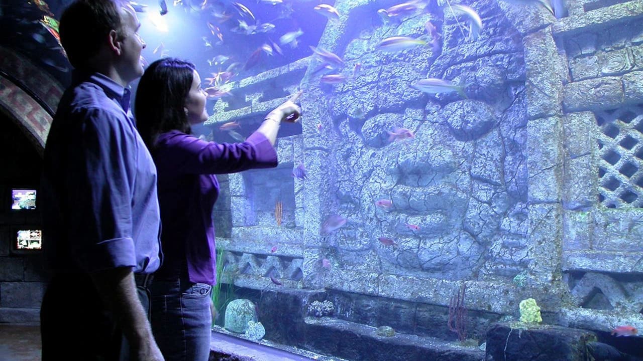 Downtown Aquarium Houston Ticket