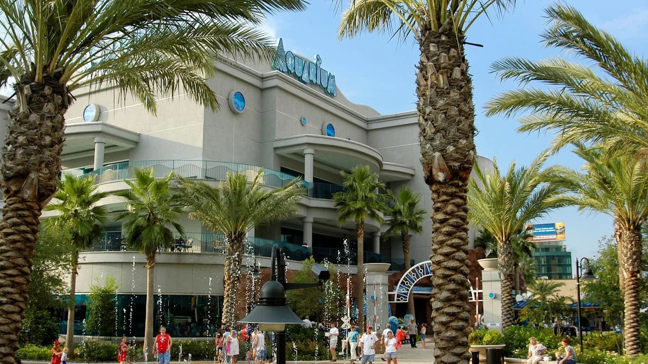 Downtown Aquarium Houston Ticket - Photo 2