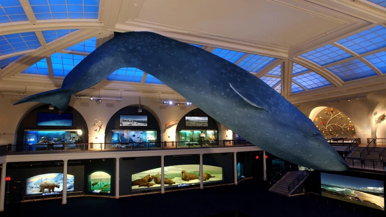 COMBO: American Museum of Natural History + The Museum of Modern Art (MoMA) Tickets