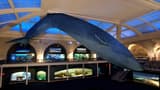 COMBO: American Museum of Natural History + The Museum of Modern Art (MoMA) Tickets - image 8