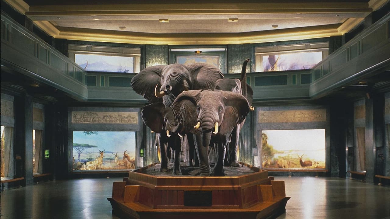COMBO: American Museum of Natural History + The Museum of Modern Art (MoMA) Tickets - Photo 3