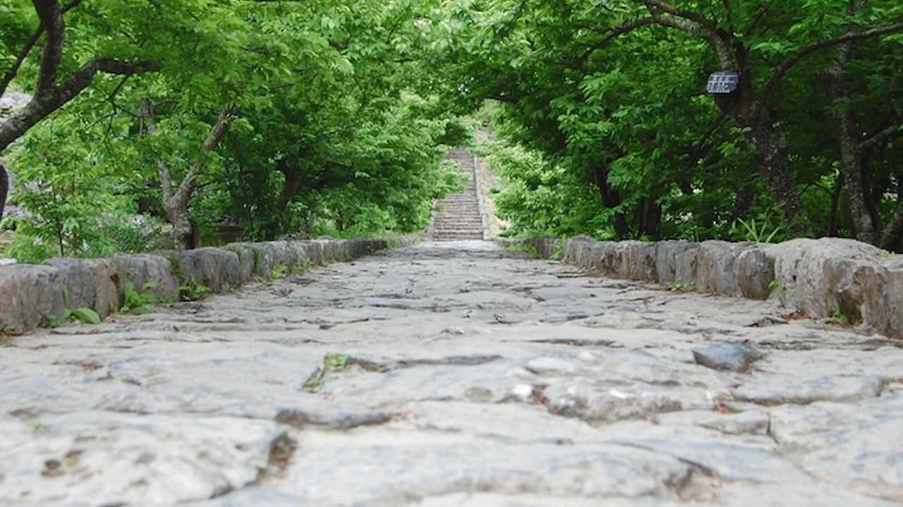 Nakijin Castle Ruins Ticket - Photo 2