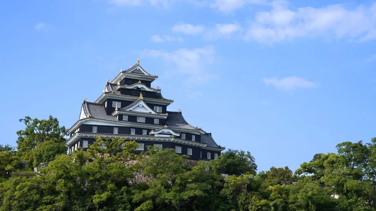 Okayama Castle Ticket