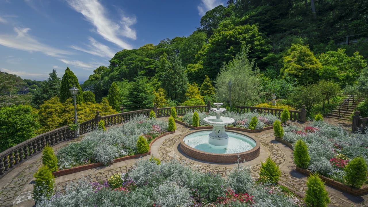 Acao Forest in Shizuoka