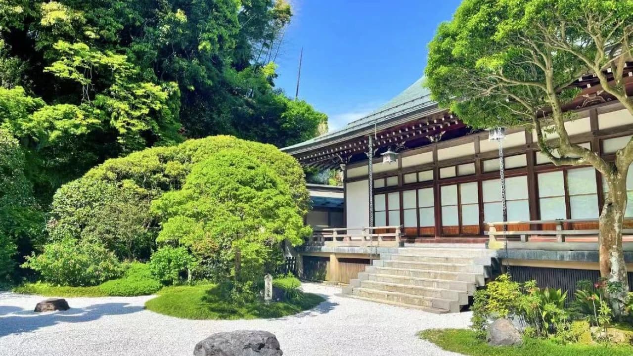 Kotoku-in Temple and Enoshima Day Tour from Tokyo - Photo 2
