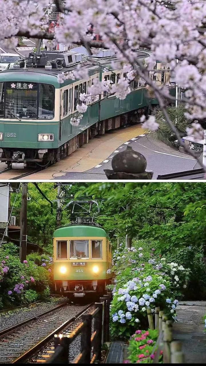Kotoku-in Temple and Enoshima Day Tour from Tokyo - image 6