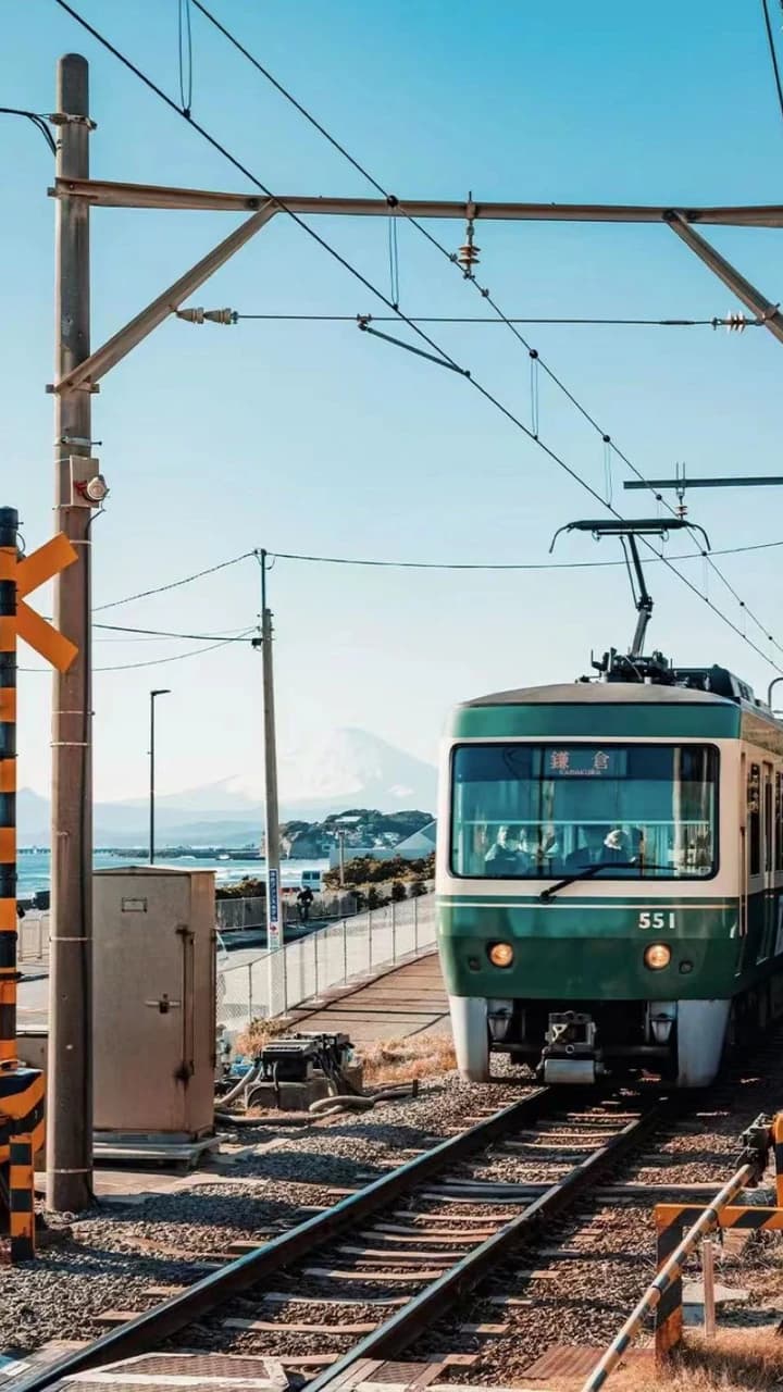 Kotoku-in Temple and Enoshima Day Tour from Tokyo - image 7