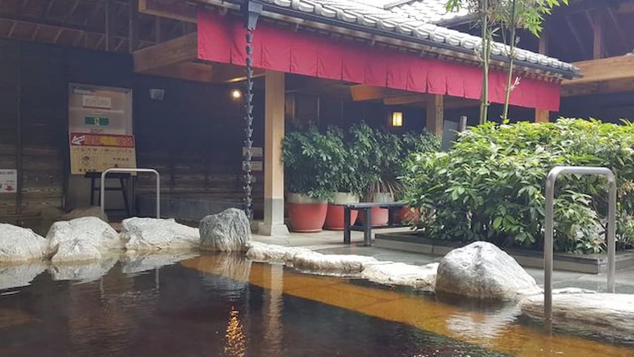 Natural Hot Springs Manten-no-yu Ticket - image 7