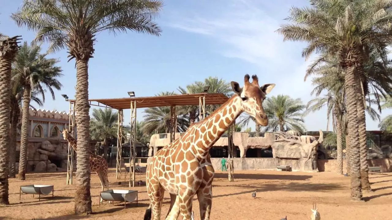 Abu Dhabi Emirates Park Zoo - Photo 2
