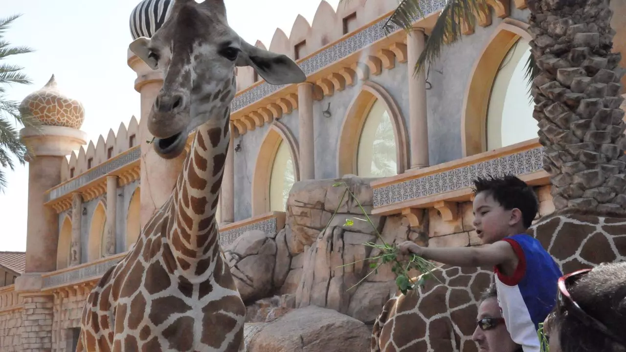 Abu Dhabi Emirates Park Zoo - Photo 4