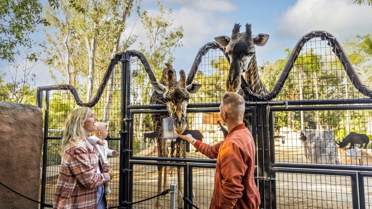 Go City San Diego Essentials Pass: Save up to 50% on Attractions - Photo 2