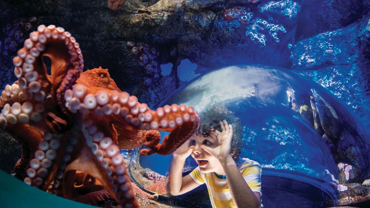 Go City San Diego Essentials Pass: Save up to 50% on Attractions - Photo 3