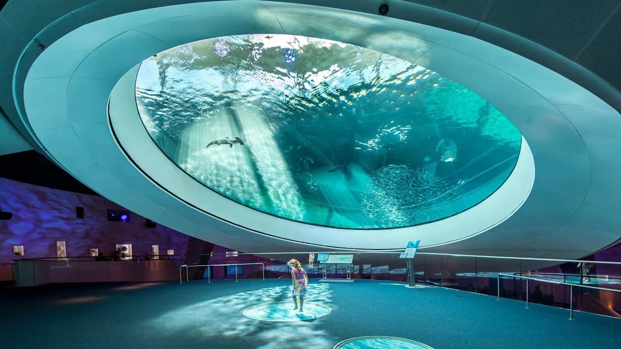 Phillip & Patricia Frost Museum of Science, Aquarium and Planetarium Ticket