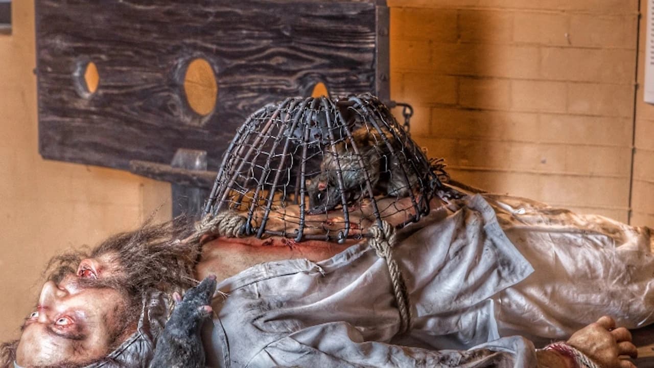 Medieval Torture Museum with Ghost Hunting Experience