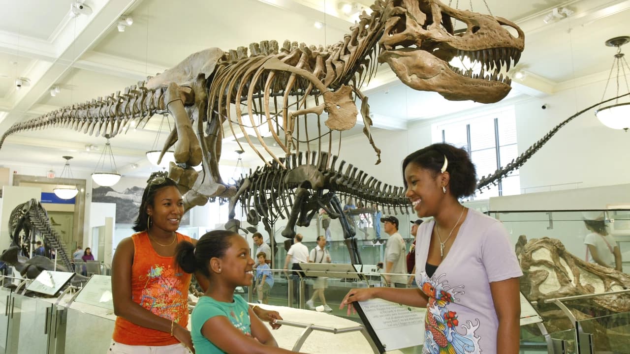 Go City New York Essential Pass: Save up to 50% on Attractions - image 6