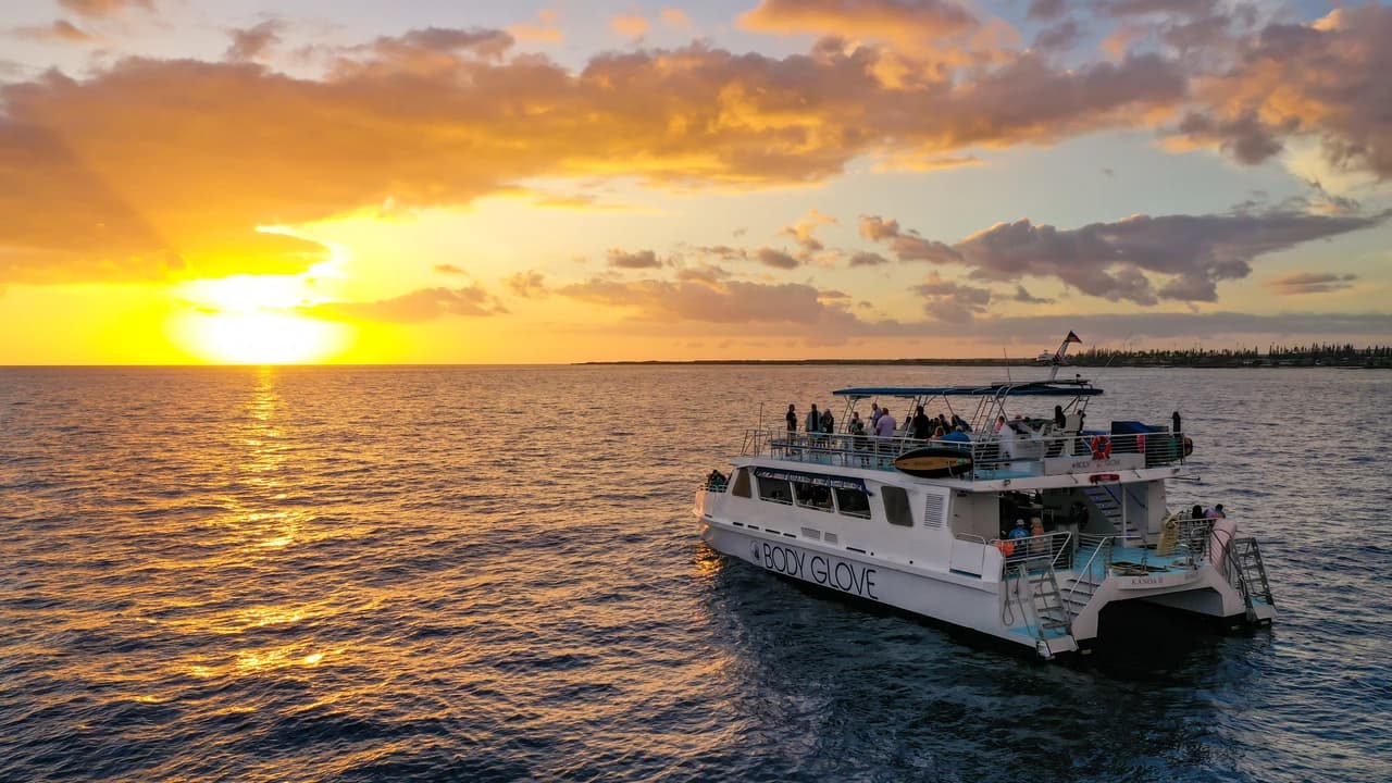 Dinner Cruise from Kona Coast to Kealakekua Bay