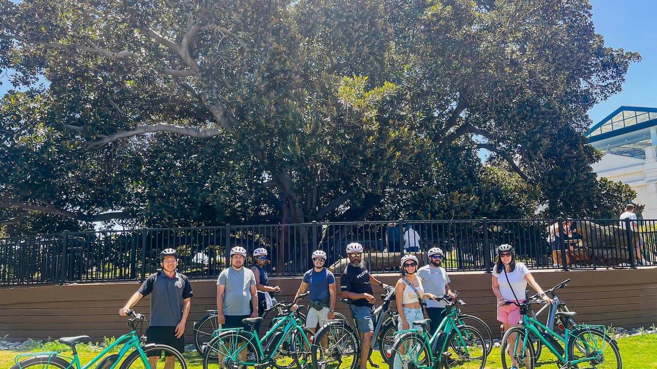 San Diego Bike Rentals - image 6