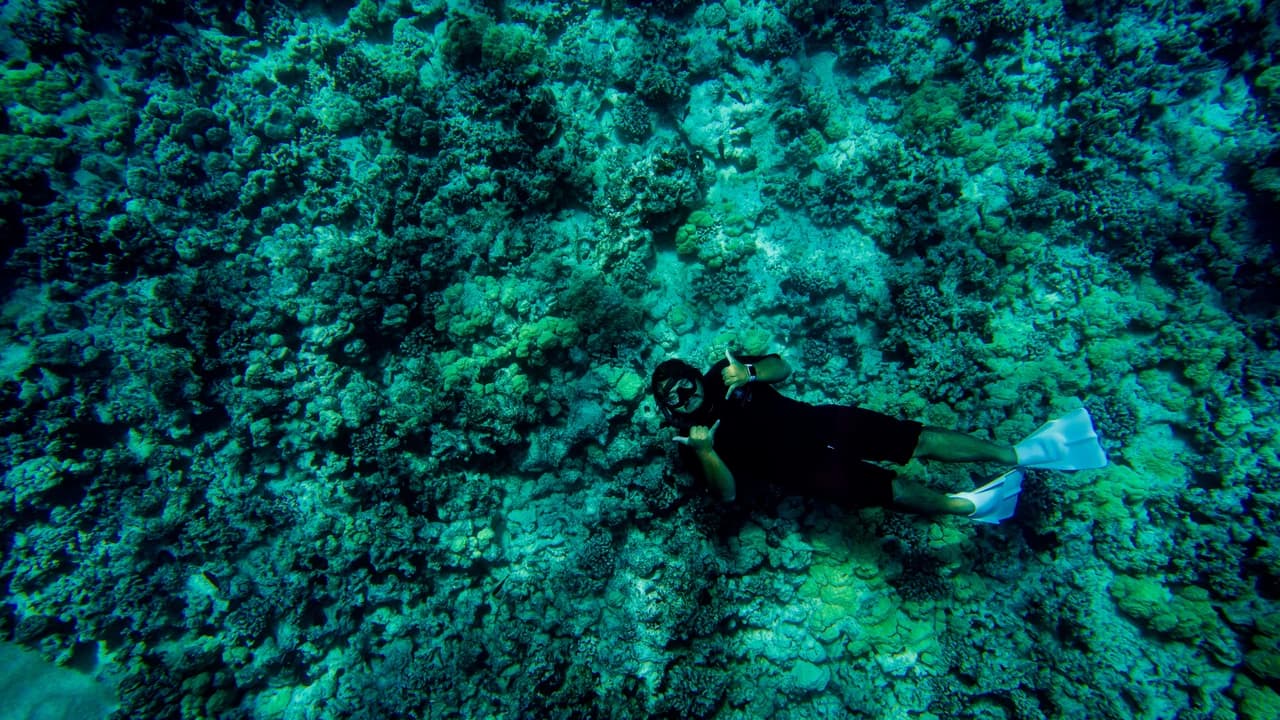 Kona Super-Raft Tours by Body Glove Cruises