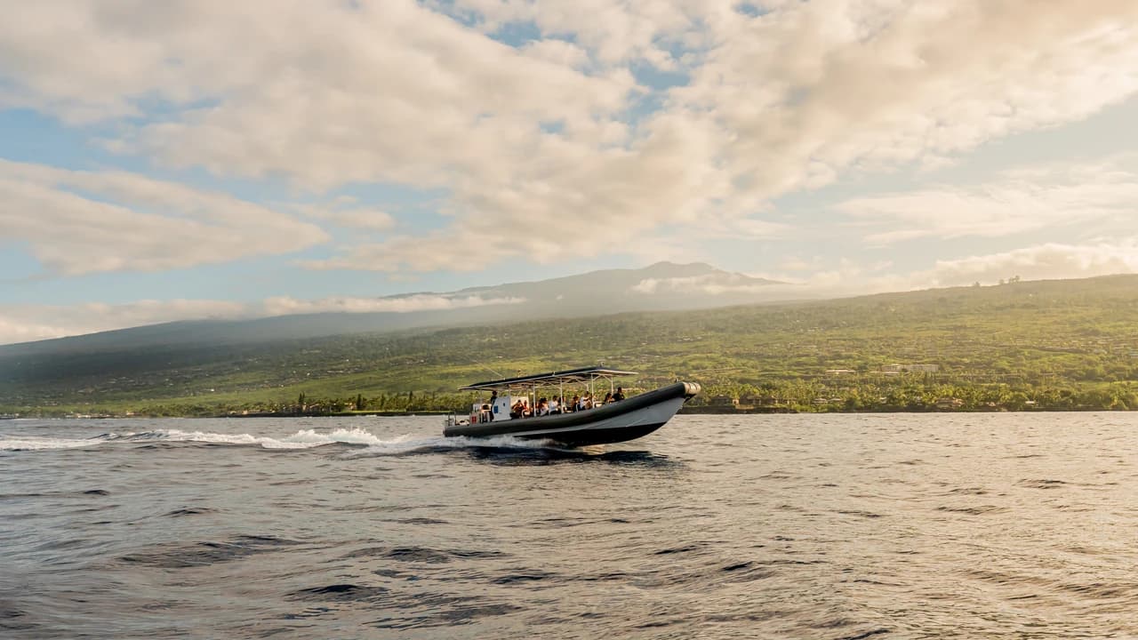 Kona Super-Raft Tours by Body Glove Cruises - Photo 5