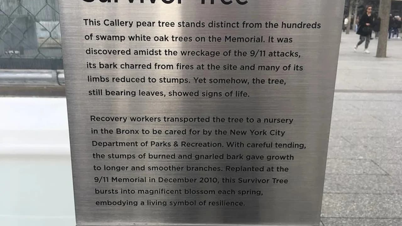 9/11 Memorial & Wall Street Walking Tour + Optional 9/11 Museum Admission - image 6