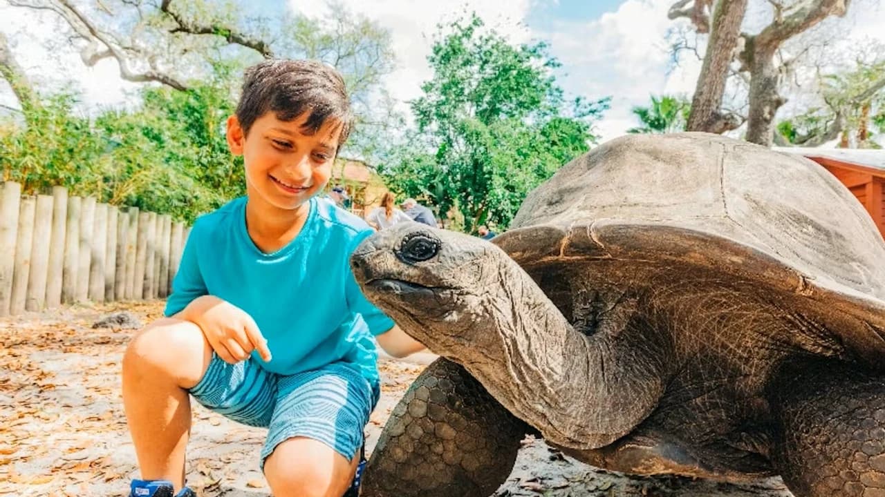 ZooTampa at Lowry Park Ticket