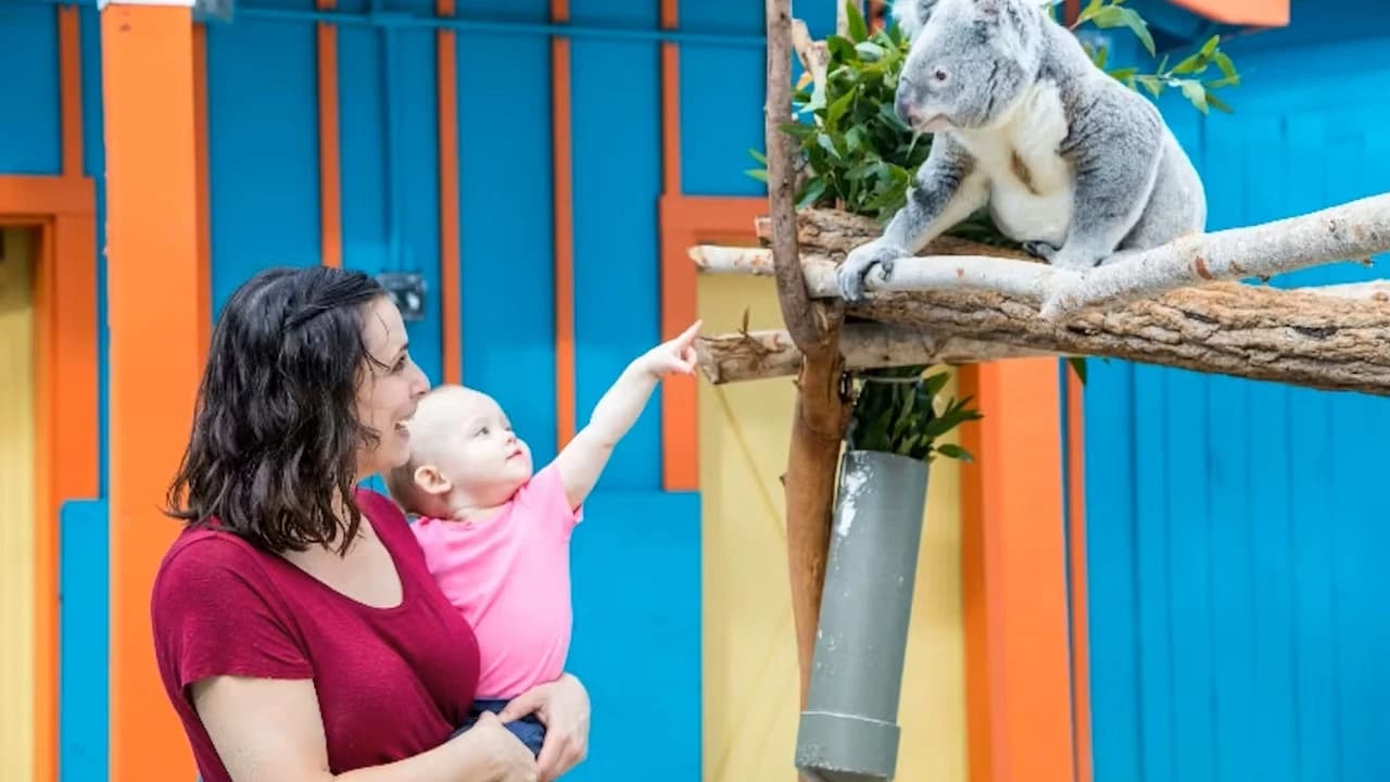ZooTampa at Lowry Park Ticket - Photo 3