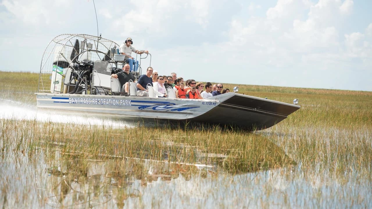 Miami Full-Day Combo: 75 min cruise + Everglades Airboat Tour + Double Decker Bus