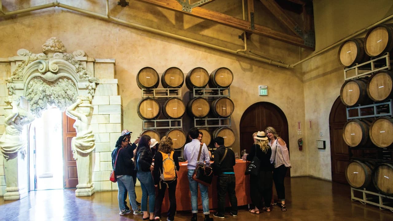 San Francisco Half-Day Wine Country Tour - image 6