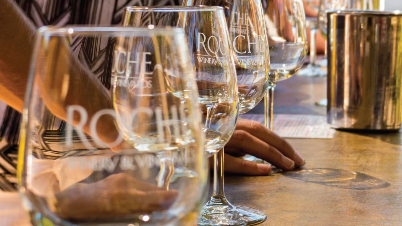 San Francisco Woods & Wine Country Full-Day Tour