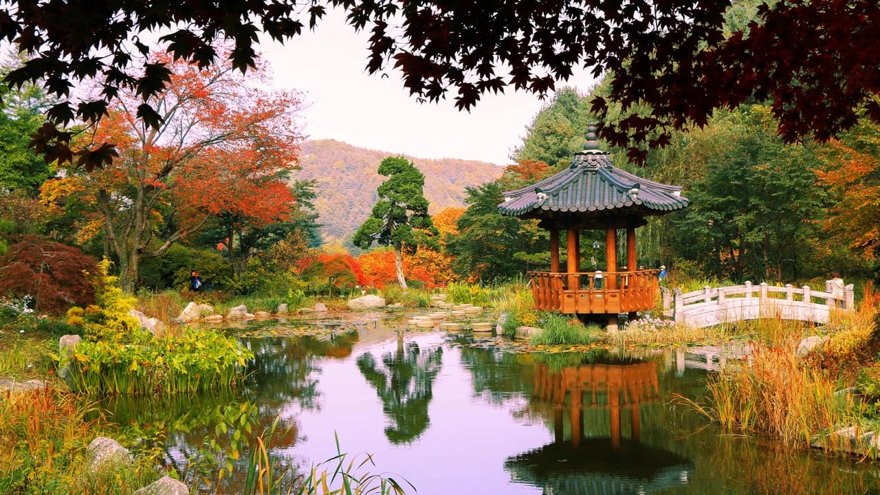 Nami Island, Petite France, Garden of Morning Calm, and Gangchon Rail Bike Tour from Seoul - Photo 3