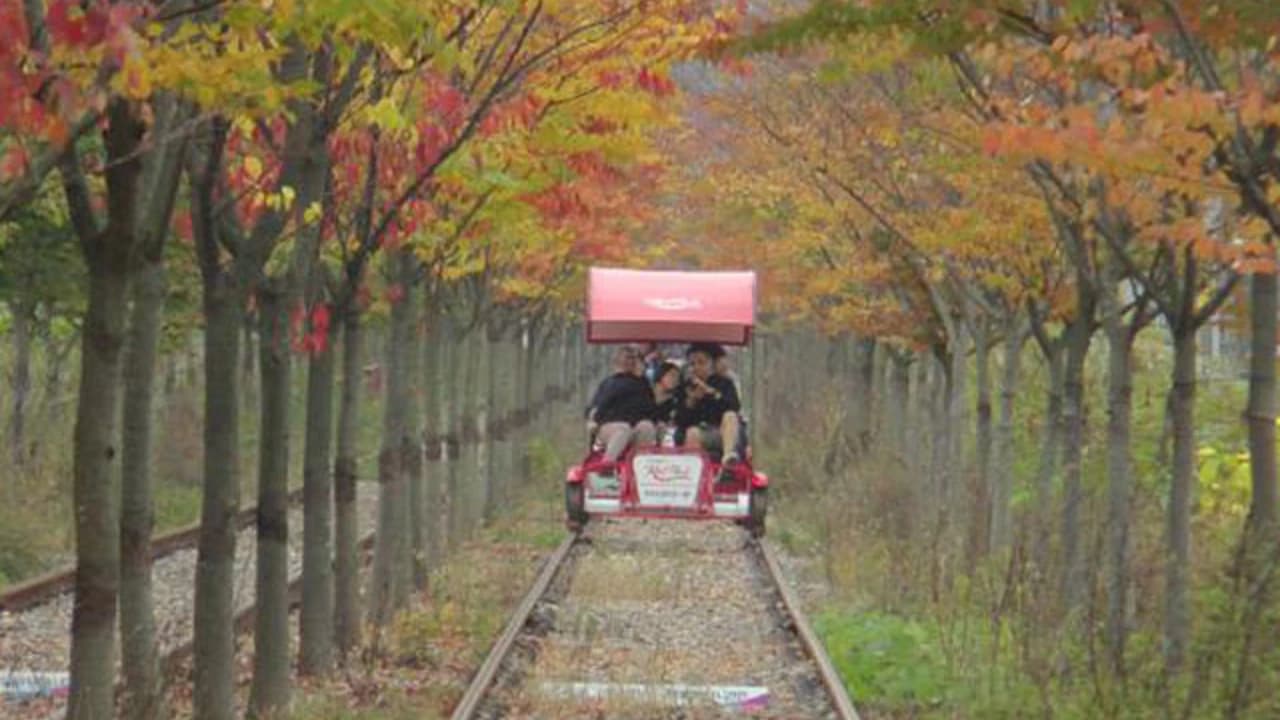 Nami Island, Petite France, Garden of Morning Calm, and Gangchon Rail Bike Tour from Seoul - image 8