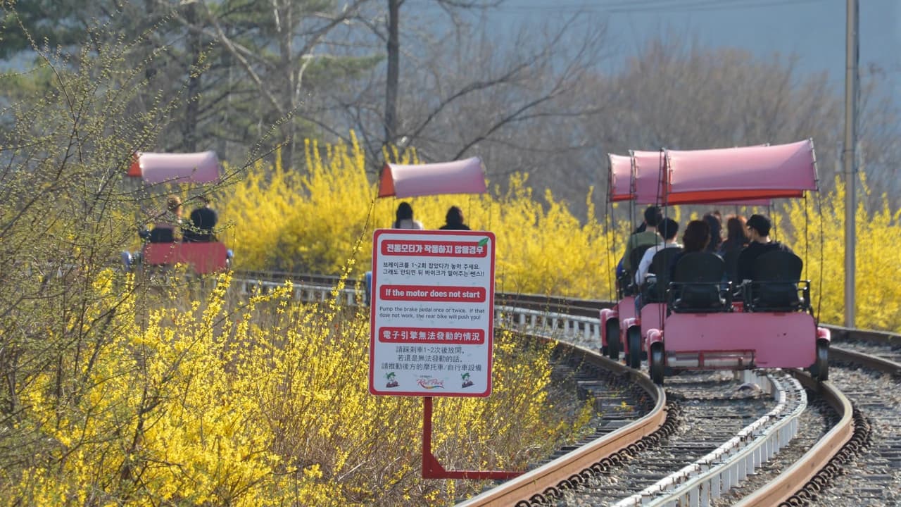 Nami Island, Petite France, Italian Village, and Gangchon Rail Bike Tour from Seoul - image 6