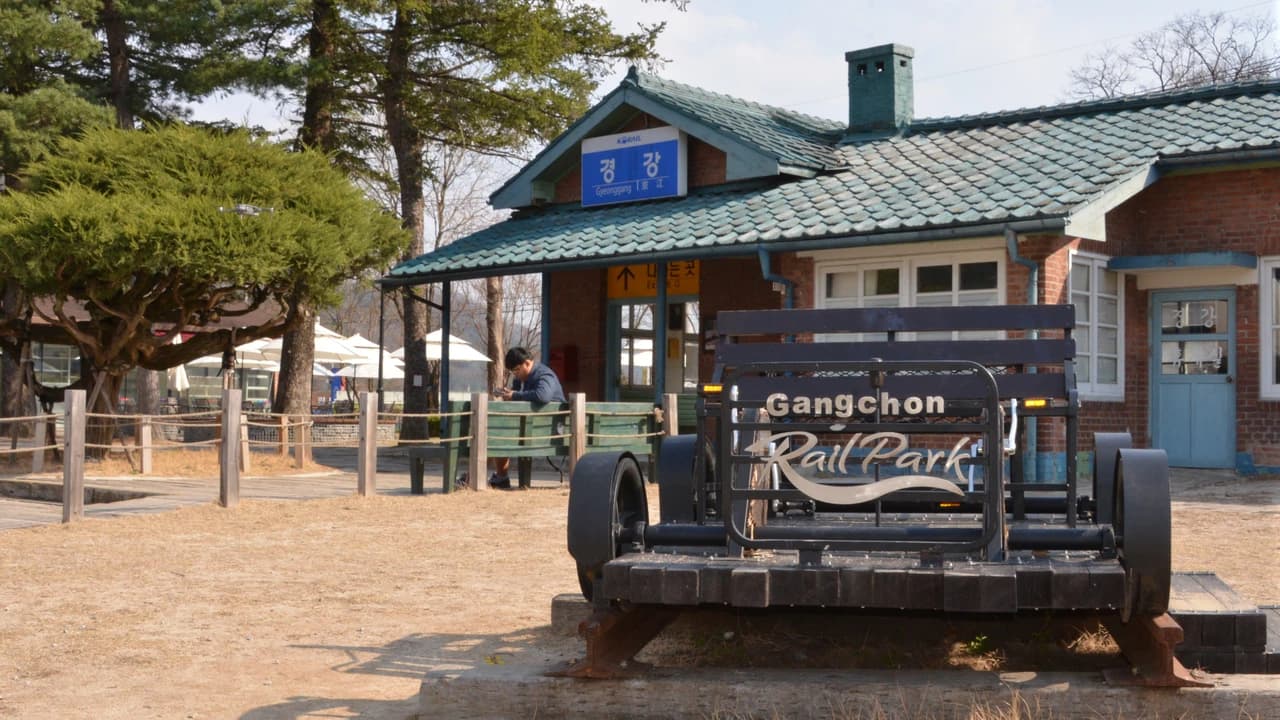 Nami Island, Petite France, Italian Village, and Gangchon Rail Bike Tour from Seoul - image 8