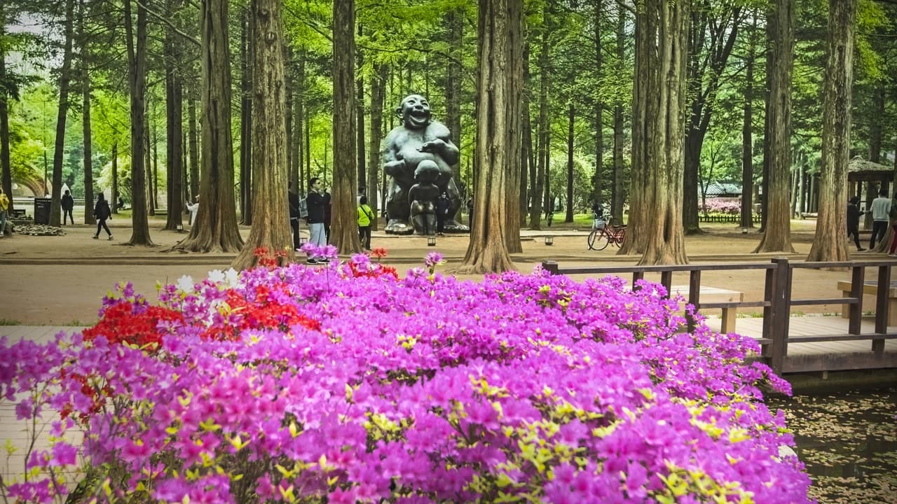 Nami Island, Petite France, Italian Village, and Garden of Morning Calm Tour from Seoul - image 6