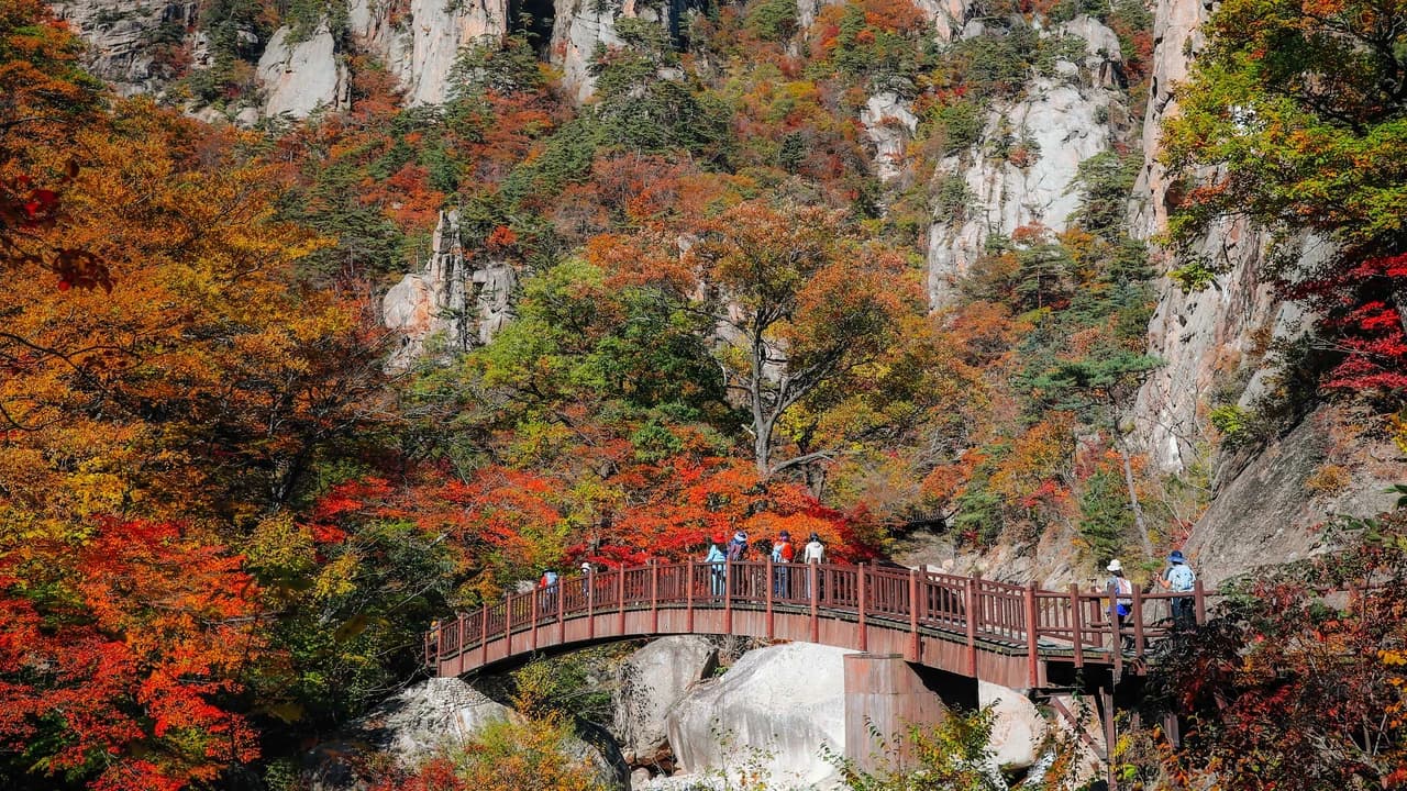 Nami Island, Mount Seorak, and Gapyeong Rail Bike Full-Day Tour from Seoul - Photo 3
