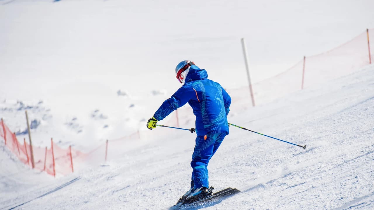 Elysian Gangchon Ski Resort and Nami Island Full-Day Tour from Seoul