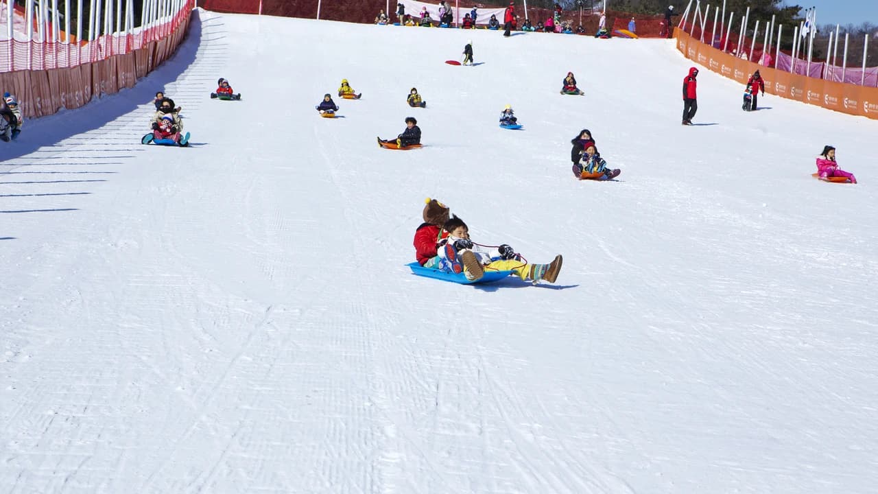 Elysian Gangchon Ski Resort and Nami Island Full-Day Tour from Seoul - Photo 3